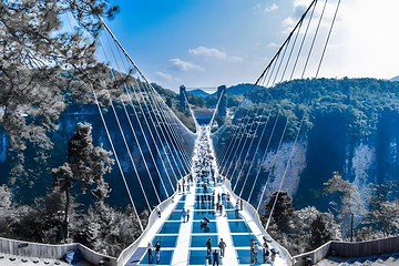 张家界大峡谷第 178 张图片