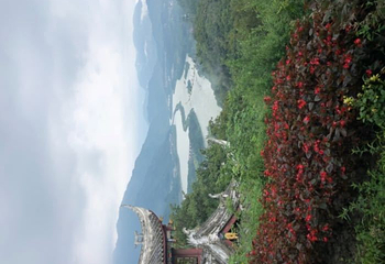 成都小酒馆第 9 张图片