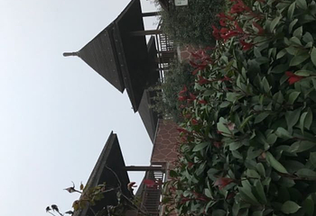 鄢陵花溪温泉第 115 张图片