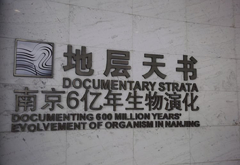 南京直立人化石遗址博物馆第 20 张图片