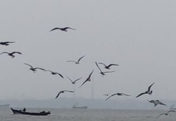 星海广场第 52 张图片