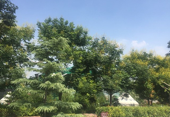千湖国家湿地公园第 14 张图片