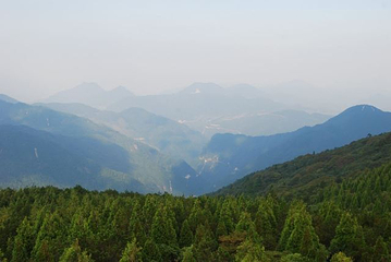百山祖景区第 35 张图片