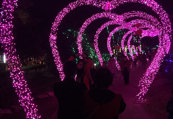 千果山旅游区第 13 张图片