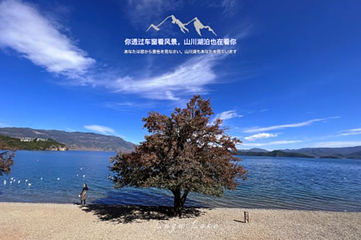 情人滩第 36 张图片