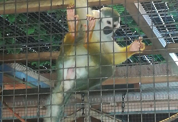 光合谷旅游度假区第 63 张图片