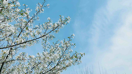 闵行体育公园第 14 张图片