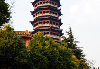高旻寺第 19 张图片