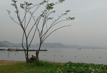 东钱湖随风沙滩第 12 张图片