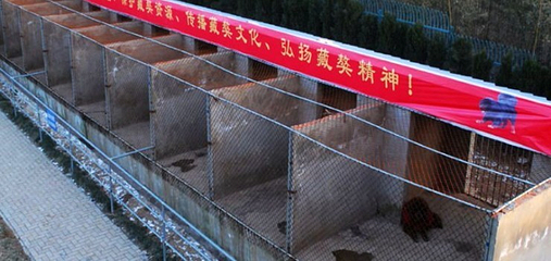 中国藏獒观赏园总园第 2 张图片