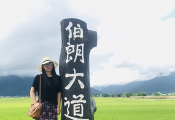 伯朗大道第 36 张图片