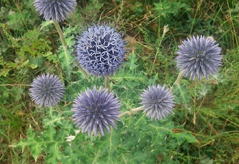 巩义盘龙山第 10 张图片