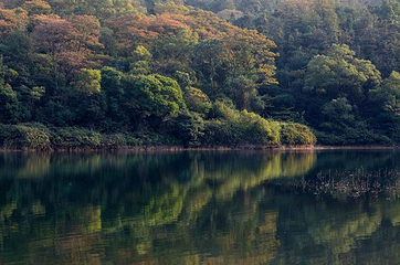 天鹅山第 3 张图片