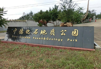 中德古生物博物馆第 16 张图片