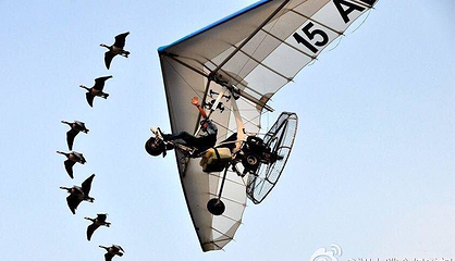 飞乐航空飞行营地第 8 张图片