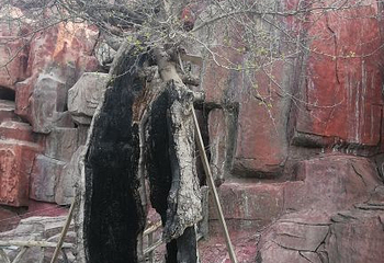 泰安太阳部落景区第 43 张图片