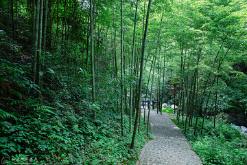 黄沙秘境大峡谷景区第 7 张图片