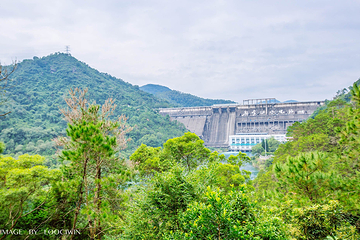 新丰江水库大坝第 3 张图片