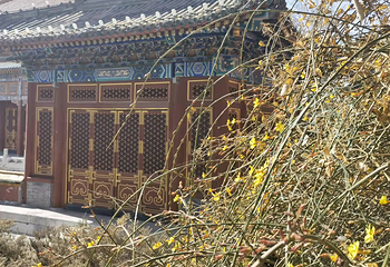 北海公园第 84 张图片