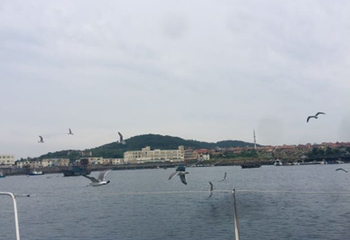 旅顺日俄监狱旧址博物馆第 41 张图片