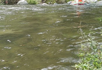 九江桃花源漂流第 9 张图片
