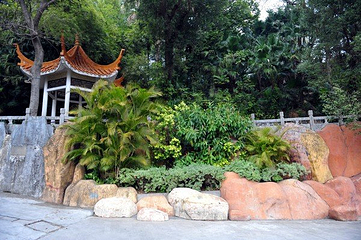 中山公园第 10 张图片