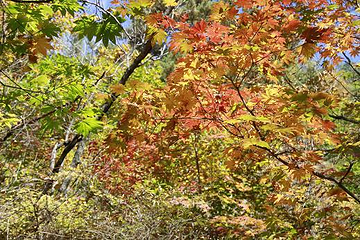 青山沟国家重点风景名胜区-虎塘沟第 12 张图片