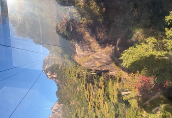 黄山云谷索道第 19 张图片