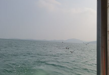 威海国际海水浴场第 42 张图片