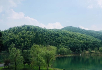 宜兴竹海风景区第 53 张图片