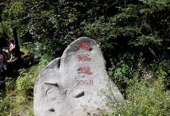 黄捻子森林公园第 20 张图片