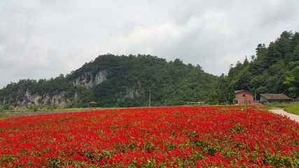 花坝旅游度假区第 17 张图片