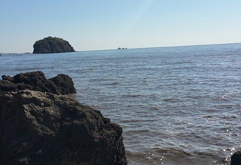 蛤蜊岛第 37 张图片