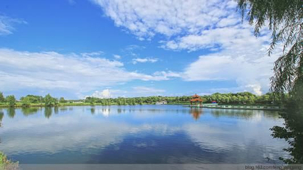 兴凯湖湿地公园第 27 张图片