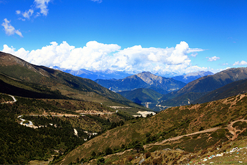 白马雪山第 7 张图片