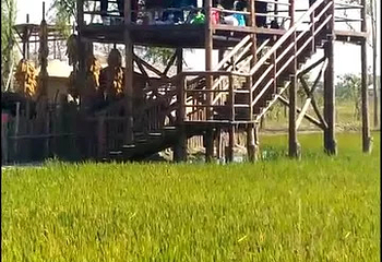 北旅田园·黑风关古镇第 14 张图片