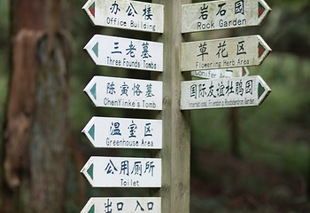 庐山植物园第 23 张图片