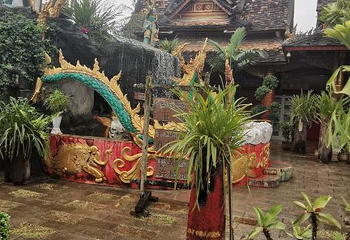 西双版纳旅游直通车第 12 张图片