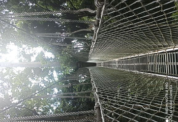 阿莲雅景区第 8 张图片