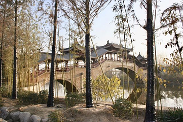 台儿庄运河国家湿地公园第 42 张图片