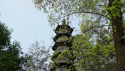 重龙山第 13 张图片