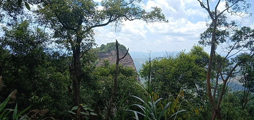 都峤山森林公园第 26 张图片