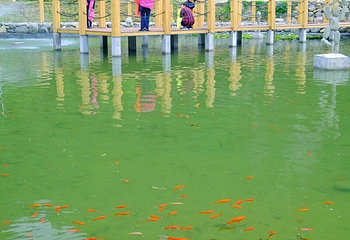 河池珍珠岩风景区第 40 张图片