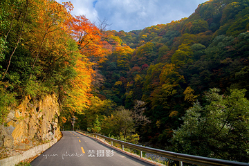 光雾山旅游景区第 117 张图片