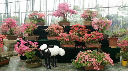 桐乡红杉邨景区第 26 张图片