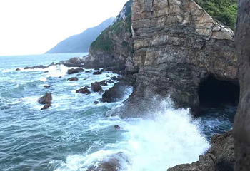 杨梅坑第 55 张图片
