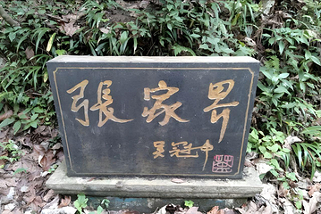 张家界国家森林公园第 457 张图片