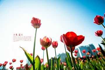 温泉公园第 25 张图片