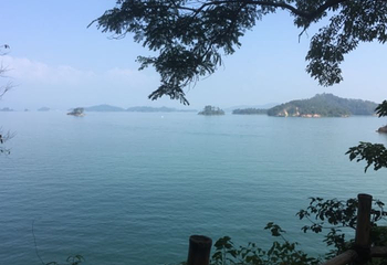 万绿湖•镜花缘游览区第 60 张图片