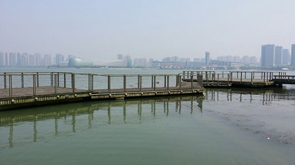 金鸡湖桃花岛第 33 张图片